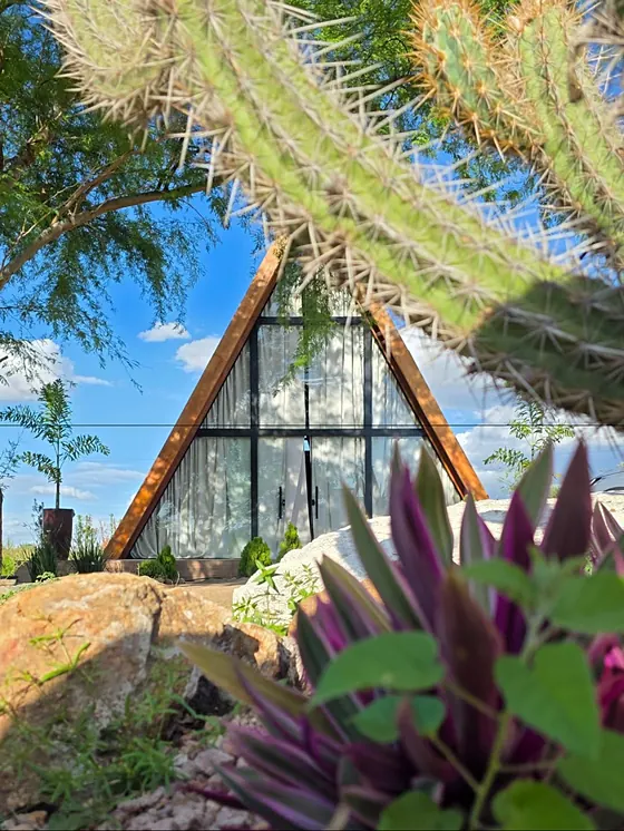 O chalé visto entre um mandacaru e plantas roxas do jardim